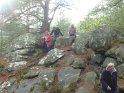 2012-10-11 17-34-01 Rando Fontainebleau-apres-midi FGn